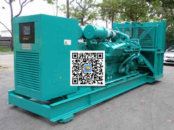 玛多租赁发电机-康明斯发电机性价比还是比较高的